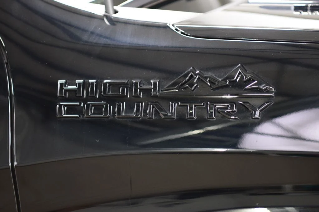 2025 Chevrolet Silverado 1500 — photo 13